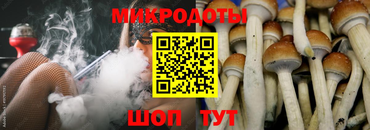 Псилоцибиновые грибы MAGIC MUSHROOMS Кострома